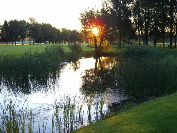 Blick über die Golfanlage in Issum