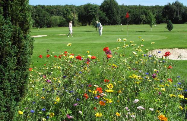  Auch bei den Mitgliedern in unserem Golfclub gibt es einige, die nicht nur einzig danach streben, ihr Handicap zu verbessern. So gehört Luzia Bongarth zu denjenigen, denen auch das äußere Bild der Clubanlage am Herzen liegt. Sie säte quasi in Privatinitiative an einigen Stellen eine bunte Mischung von Blumen unseres Geländes. Nach den endlos andauernden Wetterkapriolen zwischen täglicher Kühle und Nässe in den ersten Wochen der diesjährigen Golfsaison zeigt das gärtnerische Bemühen von Luzia Bongarth nunmehr seine volle Pracht .  